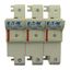 Fuse-holder, low voltage, 125 A, AC 690 V, 22 x 58 mm, 3P+N, IEC, With indicator thumbnail 2