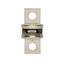 Fuse-link, low voltage, 300 A, DC 160 V, 69.9 x 25.4, T, UL, very fast acting thumbnail 16