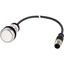 Pushbutton, Flat, momentary, 1 N/O, Cable (black) with M12A plug, 4 pole, 1 m, White, Blank, Bezel: titanium thumbnail 5