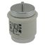 Fuse-link, low voltage, 125 A, AC 500 V, D5, 56 x 46 mm, aR, DIN, IEC, ultra rapid thumbnail 13