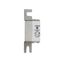 Fuse-link, high speed, 100 A, AC 690 V, DIN 000, 21 x 40 x 100 mm, aR, DIN, IEC, single indicator thumbnail 14