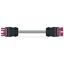 pre-assembled interconnecting cable;Eca;Socket/plug;pink thumbnail 1