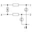 Surge suppression module for signal technology Nominal voltage: 24 VDC thumbnail 6