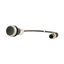 Pushbutton, Flat, momentary, 1 NC, Cable (black) with M12A plug, 4 pole, 0.2 m, black, Blank, Bezel: titanium thumbnail 12