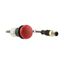 Indicator light, Flat, Cable (black) with M12A plug, 4 pole, 1 m, Lens Red, LED Red, 24 V AC/DC thumbnail 10