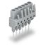 Female connector for rail-mount terminal blocks 0.6 x 1 mm pins straig thumbnail 1