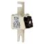 Fuse-link, high speed, 315 A, AC 690 V, DIN 1, 53 x 69 x 138 mm, aR, DIN, IEC, single indicator thumbnail 8