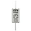 Fuse-link, LV, 100 A, AC 500 V, NH02, gL/gG, IEC, dual indicator, live gripping lugs thumbnail 20