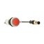 Pushbutton, Flat, momentary, 1 NC, Cable (black) with M12A plug, 4 pole, 1 m, red, Blank, Bezel: titanium thumbnail 19