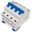 Miniature Circuit Breaker (MCB) AMPARO 10kA, C 32A, 3+N thumbnail 5