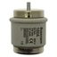 Fuse-link, low voltage, 160 A, AC 500 V, D5, 56 x 46 mm, gR, DIN, IEC, fast-acting thumbnail 2