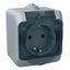 Cedar Plus - single socket outlet sideE - 16A, shutters, transparent lid, grey thumbnail 2