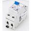 Miniature Circuit Breaker (MCB) B50/1+N, 10kA thumbnail 12