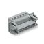 1-conductor male connector CAGE CLAMP® 2.5 mm² gray thumbnail 1