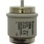 Fuse-link, low voltage, 200 A, AC 500 V, D5, 56 x 46 mm, aR, DIN, IEC, ultra rapid thumbnail 3