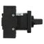 On-Off switch, P1, 40 A, flush mounting, 3 pole + N, with black thumb grip and front plate thumbnail 25