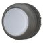 Illuminated pushbutton actuator, RMQ-Titan, Flush, momentary, White, Blank, Bezel: black thumbnail 2