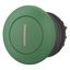 Mushroom actuator, RMQ-Titan, Mushroom, maintained, Mushroom green, green, inscribed, Bezel: black thumbnail 2