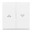 2126-34 CoverPlates (partly incl. Insert) carat® Alpine white thumbnail 2