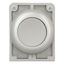 Pushbutton, RMQ-Titan, Flat, momentary, gray, Blank, Metal bezel thumbnail 9