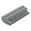 1-conductor female connector CAGE CLAMP® 2.5 mm² gray thumbnail 1