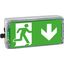 EX-protected emerg.luminaire EXIT N zone1/21 LED 3h 230V AC thumbnail 1