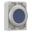 Illuminated pushbutton actuator, RMQ-Titan, Flat, momentary, Blue, Blank, Metal bezel thumbnail 11