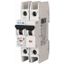 Miniature circuit breaker (MCB), 50 A, 2p, characteristic: B, NA thumbnail 1