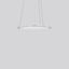 FLATLINER SLIM, 38 W, 2750 lm, 830, white, DALI Pendant luminaires, D  thumbnail 2