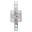 Fuse-link, low voltage, 750 A, AC 660 V, DC 350 V, BS88/C3, 83 x 210 mm, gL/gG, BS thumbnail 2