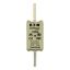 Fuse-link, LV, 125 A, AC 500 V, NH02, gL/gG, IEC, dual indicator, live gripping lugs thumbnail 10