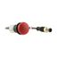 Indicator light, Flat, Cable (black) with M12A plug, 4 pole, 0.2 m, Lens Red, LED Red, 24 V AC/DC thumbnail 11