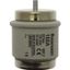 Fuse-link, low voltage, 160 A, AC 500 V, D5, 56 x 46 mm, gR, DIN, IEC, fast-acting thumbnail 1