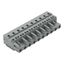 1-conductor female connector CAGE CLAMP® 2.5 mm² gray thumbnail 1