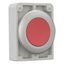 Pushbutton, RMQ-Titan, Flat, maintained, red, Blank, Metal bezel thumbnail 13