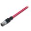 sercos cable M12D plug straight 4-pole red thumbnail 3