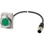 Indicator light, Flat, Cable (black) with M12A plug, 4 pole, 1 m, Lens green, LED green, 24 V AC/DC thumbnail 4