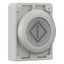 Illuminated pushbutton actuator, RMQ-Titan, Flat, momentary, White, inscribed, Metal bezel thumbnail 12
