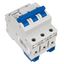 Miniature Circuit Breaker (MCB) AMPARO 10kA, C 4A, 3-pole thumbnail 3