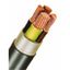 PVC Insulated Cable PE Outer Sheath E-Y2Y-J 5x10re black thumbnail 2