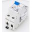 Miniature Circuit Breaker (MCB) B50/1+N, 10kA thumbnail 8