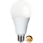 LED-lamp E27 A80 High Lumen thumbnail 1