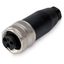 787-6716/9300-000 Pluggable connector, 7/8 inch; 7/8 inch; 3-pole thumbnail 3