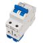 Miniature Circuit Breaker (MCB) AMPARO 10kA, D 32A, 2-pole thumbnail 6