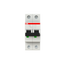 S202-D10 Miniature Circuit Breaker - 2P - D - 10 A thumbnail 1