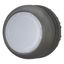 Illuminated pushbutton actuator, RMQ-Titan, Flush, momentary, White, Blank, Bezel: black thumbnail 6