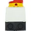 Main switch, T0, 20 A, surface mounting, 3 contact unit(s), 3 pole, 2 N/O, Emergency switching off function, With red rotary handle and yellow locking thumbnail 20