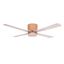 Surat DC LED Ceiling fan 18W 1600 Lm CCT Dim CCT Wood thumbnail 2