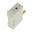 Fuse-holder, low voltage, 32 A, AC 550 V, BS88/F1, 1P, BS thumbnail 14
