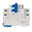 Miniature Circuit Breaker (MCB) AMPARO 10kA, D 32A, 2-pole thumbnail 5